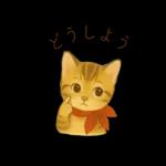 子猫のとらの日常スタンプ