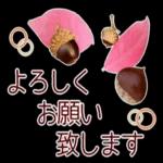 寒くなりましたね〜お体を大切に〜