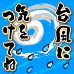 【飛び出す】夏♡大人の暑中見舞い