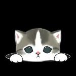 ずっとあなたを守ります😊😊😊