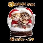 大きく表示♡冬にゃんこ