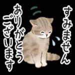 使いやすい挨拶☆猫たちのスタンプ