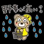 はな子✿梅雨から真夏。お花キラキラ