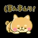 ゆるっとかわいい日常メッセージ☆