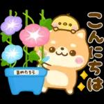 熱中症に気をつけて🫠🫠🫠