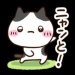 まるブチ☆_-挨拶