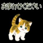 かわいらしい小さな花だ