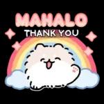 ハワイ大好きポメトーン