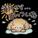 夏‼︎まいにち使える❤️もこもこいぬ