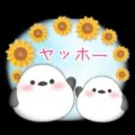 【シマエナガです】花束/夏のひまわり4