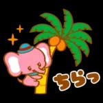Retro Animal Vol.24 mie tropical summer