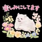 大人かわいい♡いぬと花のスタンプ