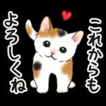 毎日☆猫たちのスタンプ