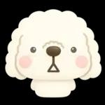 ず～っと使える♡かわいいトイプーさん♡白