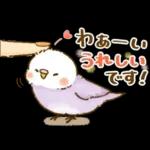 敬語が話せる！もふもふインコ