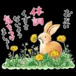 はるちゃんとふうくん「Happy Spring」