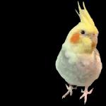 ゆっくり休んでね 