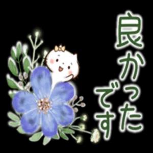 wxiwa6g