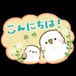 敬語が話せる！もふもふインコ