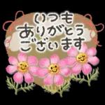 大人可愛い❤️秋の日常。