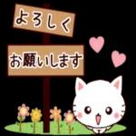 誕生日おめでとう