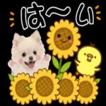 ありがとう ございます