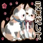 仲良しねこ♡気使いいっぱいスタンプ_-