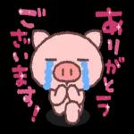 いま、大丈夫ですか。