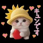 スコティッシュ猫 可愛い日常 太陽帽 敬語