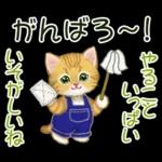 冬のキラキラおめめの子猫ちゃん