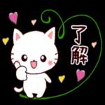 かわいい猫😺が来ますよ！