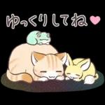 スナネコのサシャ 2