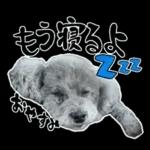 大人かわいい日常メッセージ?