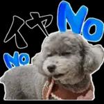 大人かわいい日常メッセージ?