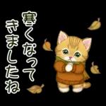 冬のキラキラおめめの子猫ちゃん