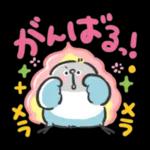 可愛いインコちゃんと一緒に冬を過ごしましょう！