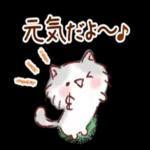 いつもありがとうございます