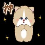 猫と仲間達♡日常。～