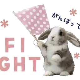 FIGHT