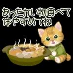 冬のキラキラおめめの子猫ちゃん