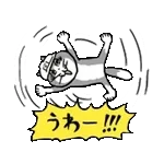 がんばれ！動く仕事猫