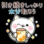 秋の気づかいのできるネコ♪飛び出す！