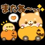 秋に役立つ♡豆柴日和