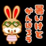 Retro Animal Vol.24 mie tropical summer