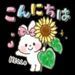 可愛いウサギ🐰からのメッセージ