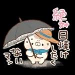 となりのにゃんこ　summer2022