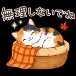 三毛猫のつめあわせ【秋】