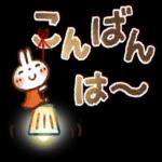 毎日便利✨白うさぎさん_-_