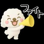 ず～っと使える♡かわいいトイプーさん♡白