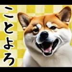 柴犬のあけおめスタンプ